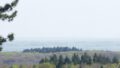 Fernblick