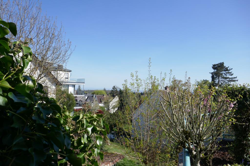 Blick ins Grüne