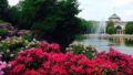 Wiesbaden