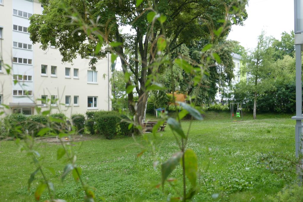 Blick ins Grüne