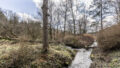 Bachlauf