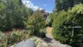 Blick in den Garten