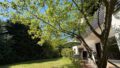 Sommer Garten