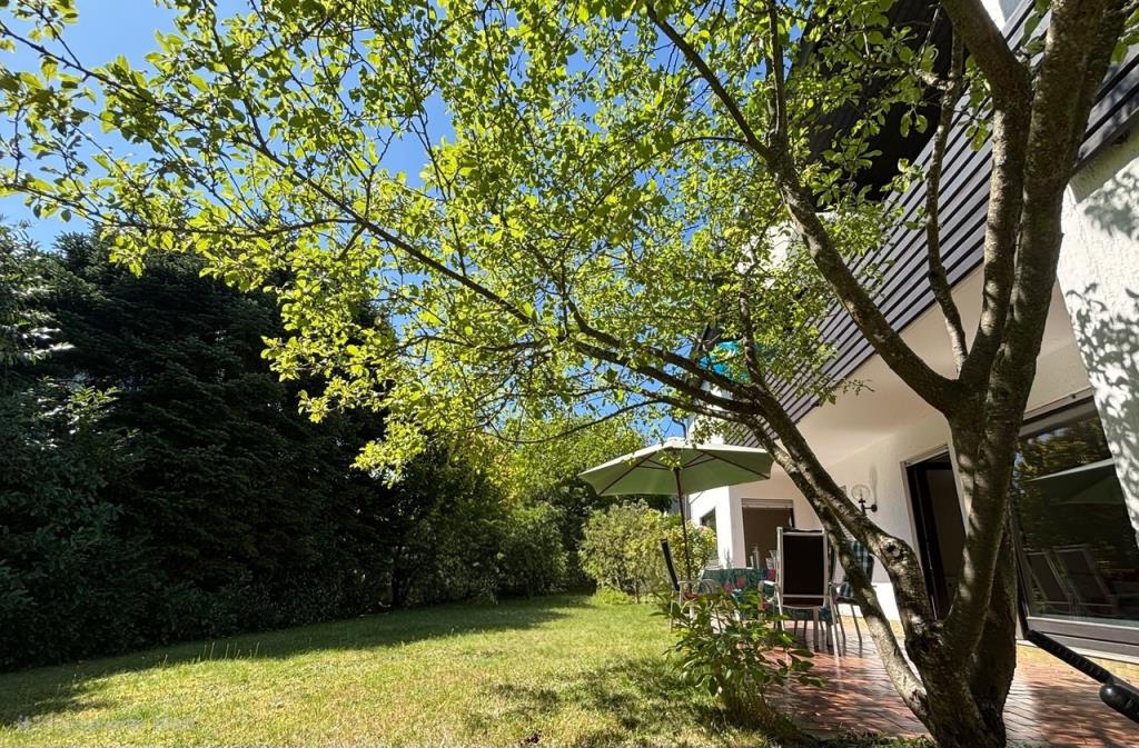 Sommer Garten