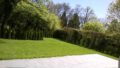 Garten I