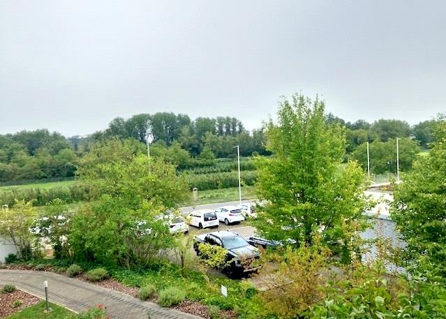 Aussicht mit viel Grün