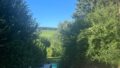 Blick in den Garten