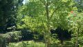 Garten hoch