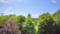 Ausblick