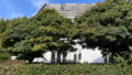 S12_Hausansicht