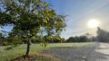 Baum